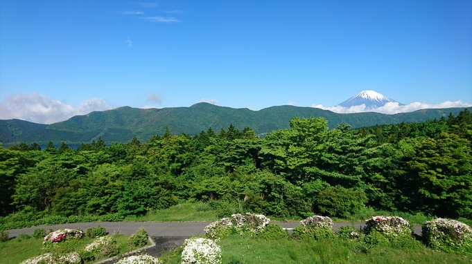 芦ノ湖・富士山側客室【和室確約】1泊二食「禁煙」